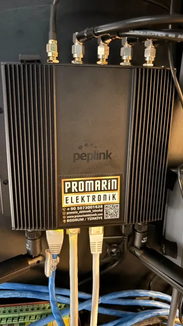 Маршрутизатор Peplink — кабельные подключения